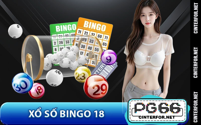Xổ số bingo 18
