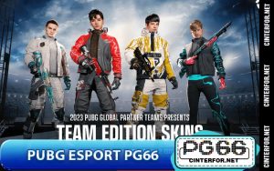 PUBG Esport