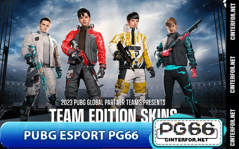 PUBG Esport